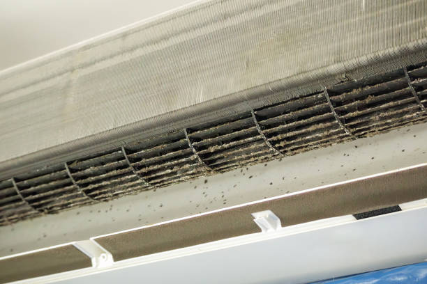 Best Air Duct Cleaning Near Me  in Sunnyvale, TX